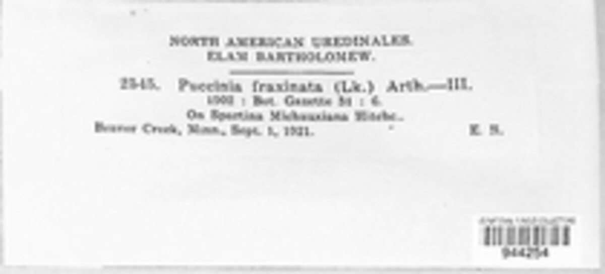 Puccinia fraxinata image
